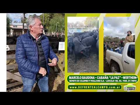 MARCELO BAUDENA - CABAÑA LA PAZ de WERTHEIN-