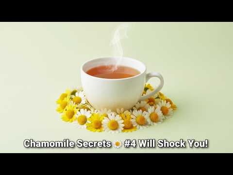 7 Amazing Benefits of Chamomile Tea That Are Rarely Known!