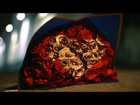 Huasón 19 - 18 de Septiembre 🌹 (Visualizador)