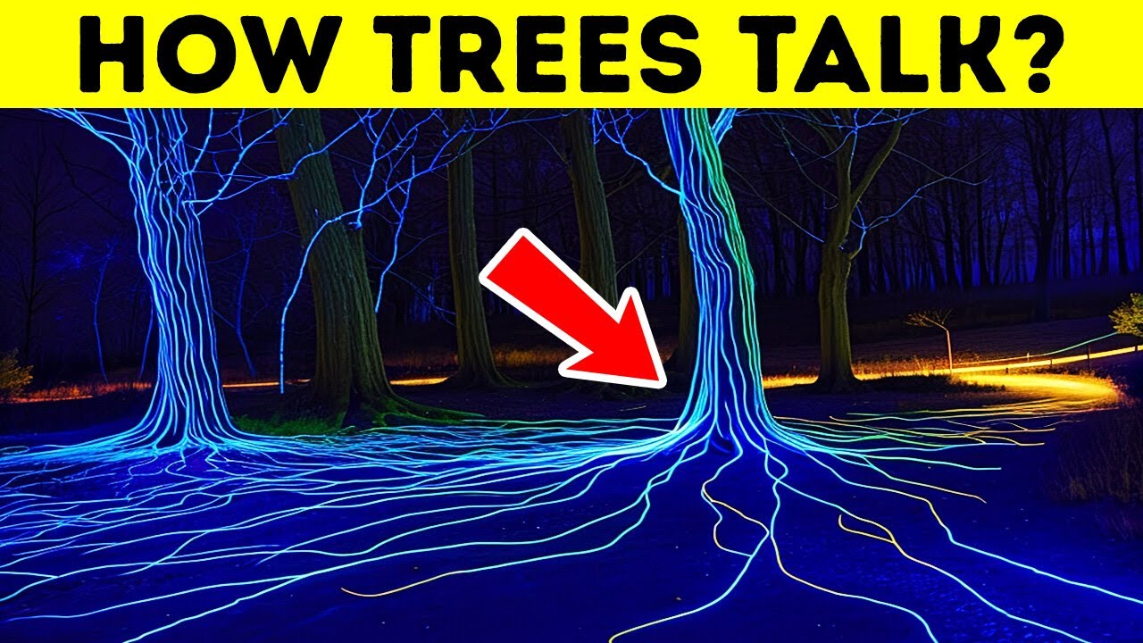 Plants Talk, We Just Don't Hear Them