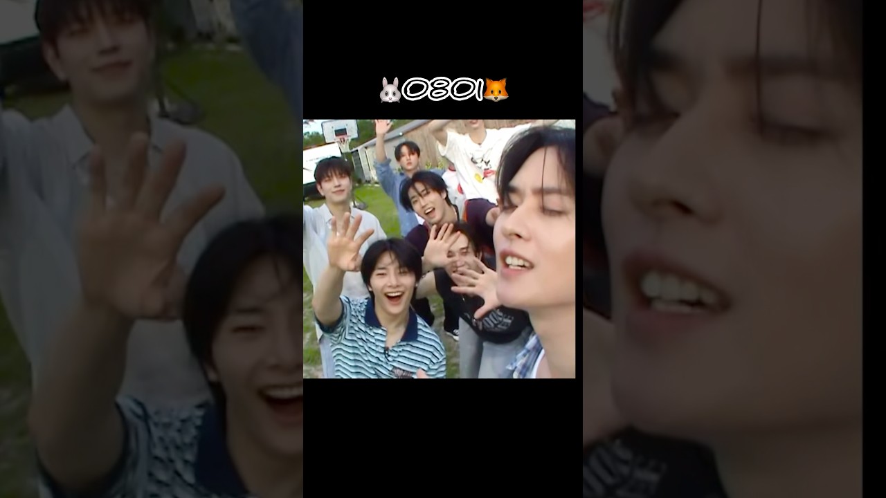 【前編】KARMAアルバム曲アリランパートまとめました🐰🦊 #straykids #아리랑 #leeknow #in