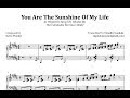 Terrance Shider You Are The Sunshine Of My Life Transcription