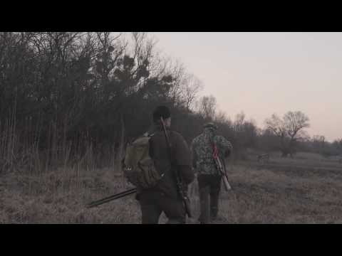 Sauenhammer - Hirschjagd in Kroatien