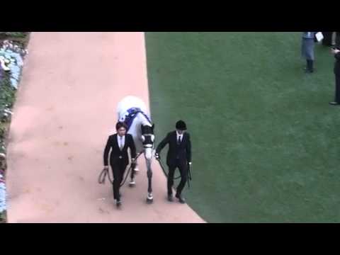 2015.12.27 有馬記念パドック