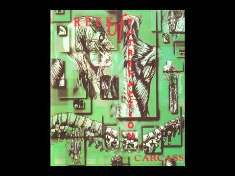 Carcass - Vomited Anal Tract