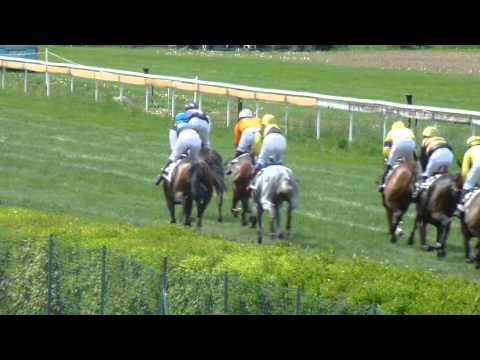 Pardubice 8.5.2015 - SIR BLACK 1