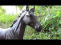 The Silver Brumby Sneak Peak HD