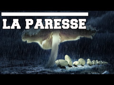 La Paresse | Message Biblique |