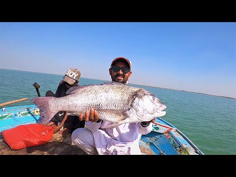 Bottom Fishing In Mangroves | Pittyani Ibrahim Hedri Karachi | 2021