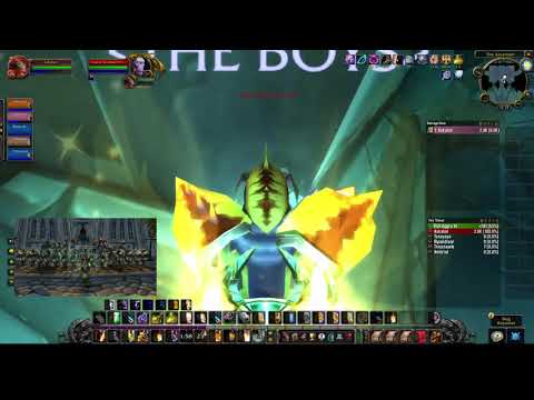 Shadow Labyrinth - Paladin Tank PoV (TBC Beta)