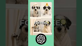 AI Dog Bath Prints