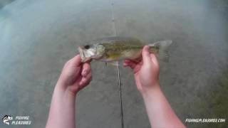 Bass Fishing In The Rain