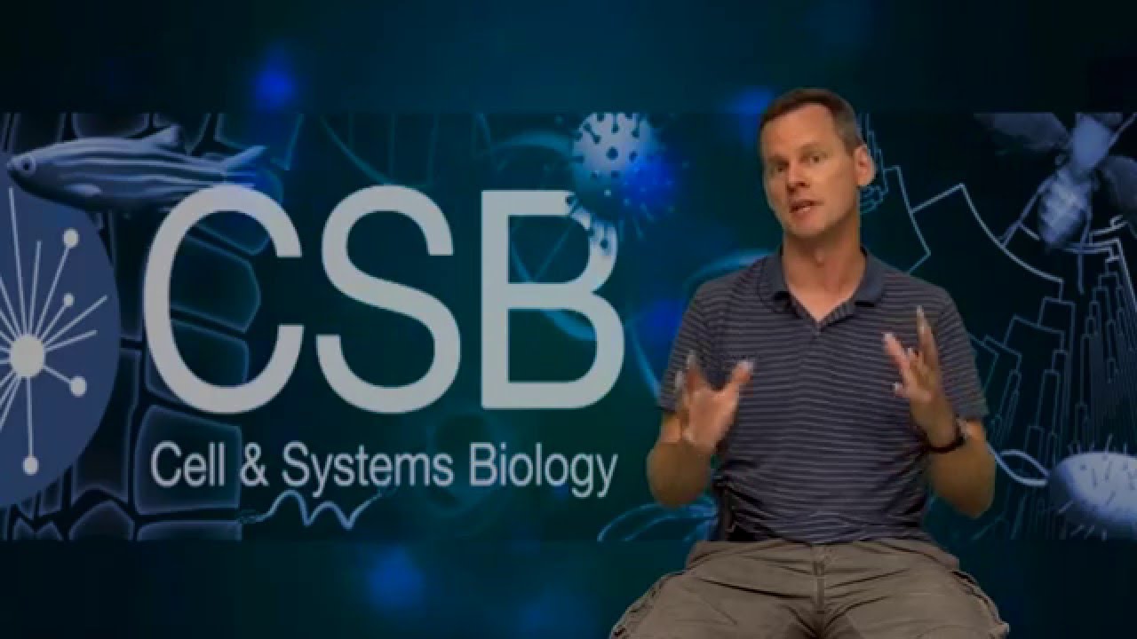 CSB Video Profiles : Faculty (Professor Tony Harris)