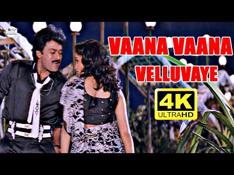 అప్పుడు ఇప్పుడు వాన అంటే గుర్తొచ్చే పాట| Chiranjeevi Vaana Vaana Velluvaye 4K Video Song|Gang Leader