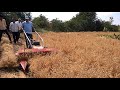 KAMCO Low Height Crop Reaper