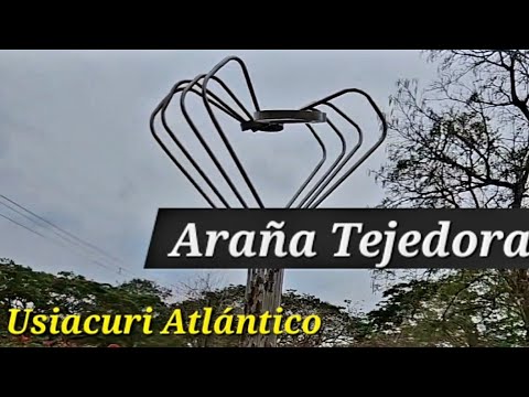 Asi se ve el Monumento la Araña Tejedora en la Entrada de Usiacuri Atlántico
