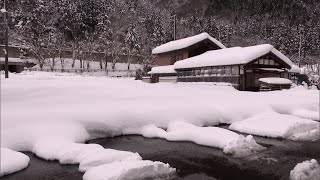 1月26日【びわ湖放送ニュース】住民が雪かきに追われる　今週後半にも大雪の恐れ