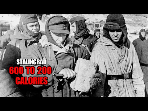 How German Supply Officers At Stalingrad Calculated Starvation In Exact Numbers