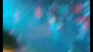 Panda en Veracruz - No te Deseo el Bien pero Tampoco el Mal