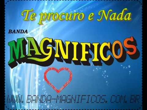 Banda Magníficos - Te procuro e nada