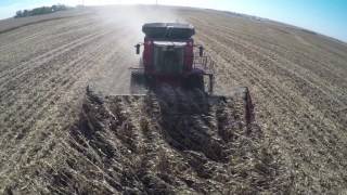 See how the Drago Series II beats full-line corn heads.