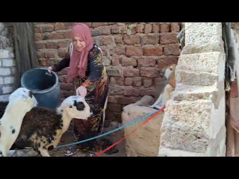 Umzug yeah endlich ❤️ Was sagt ihr dazu?