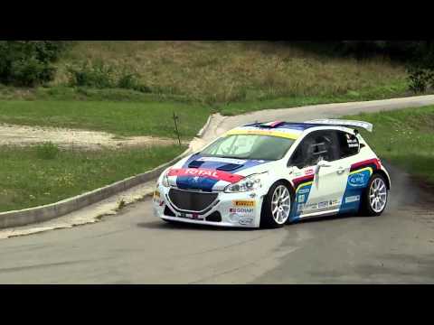 Peugeot 208 R5 T16 - Paolo Andreucci...io la guido così!