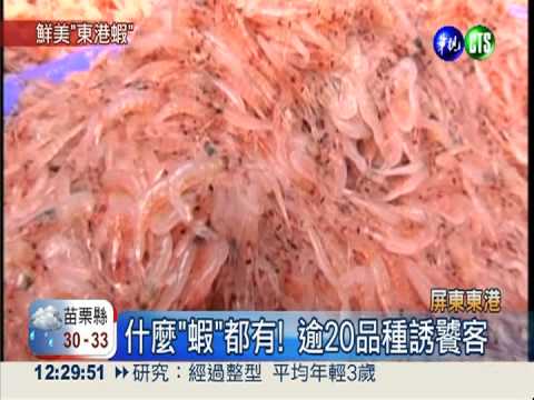 7.8月最盛產! 生吃鮮甜東港蝦