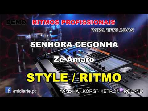 ♫ Ritmo / Style  - SENHORA CEGONHA  - Zé Amaro