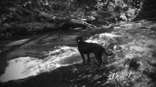 Simple Man, Sawyer Fredericks