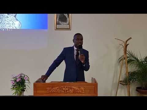 2022-1106AM - The Repeat Of Genesis 1