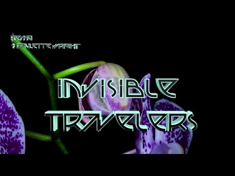 Remo Ft. Paulette Wright - Invisible Travelers