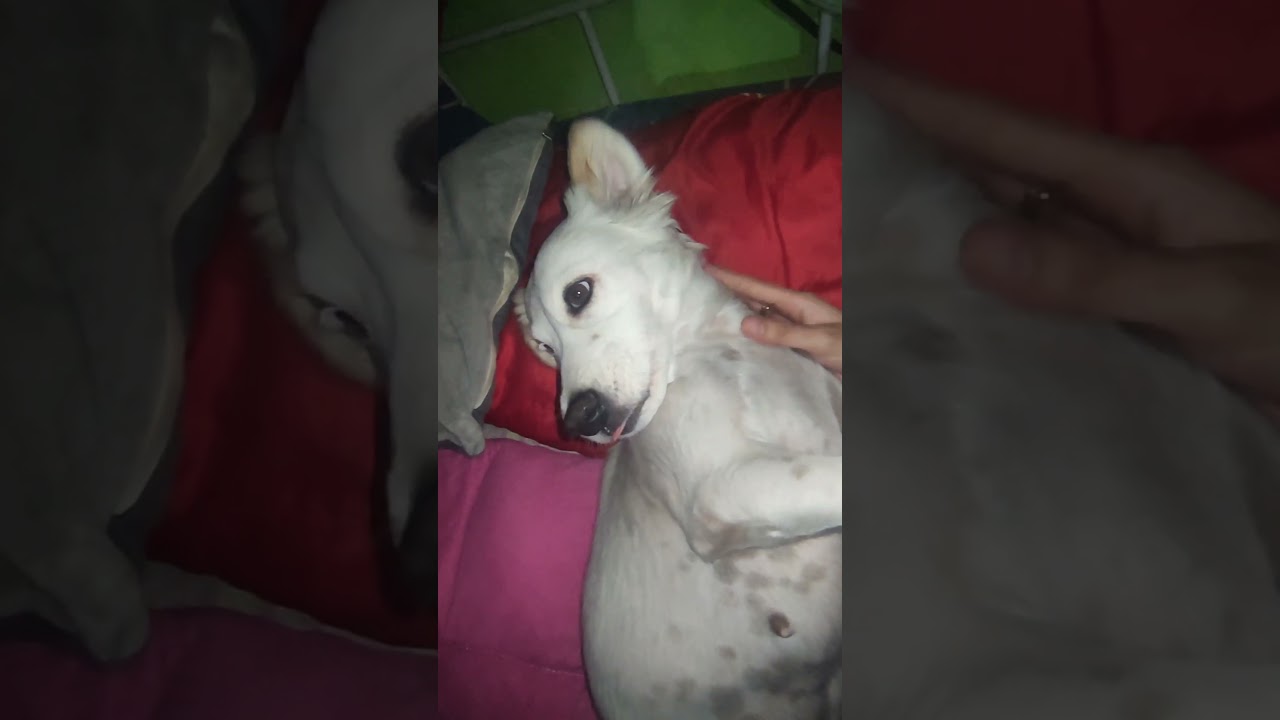 Hyper Sa Gabi, Tulog Sa Umaga Haha | Sisters Cags Fam