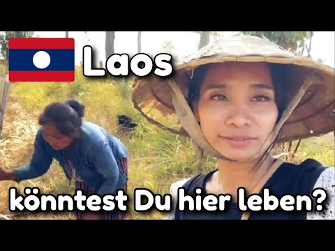 Laos - unglaubliche Bilder - Mai's Farm