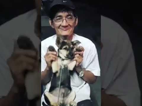 NODEY - SINH TỐ #02 🍹 ft. SUBOI