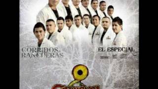 Banda Carnaval- Gallo de Sinaloa