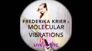 Frederika Krier: Elephants in Love violin solo @ Rockwood Music Hall