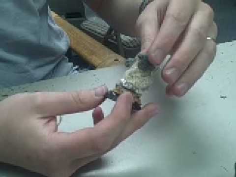 BTP- Dreadnought Drop Pod