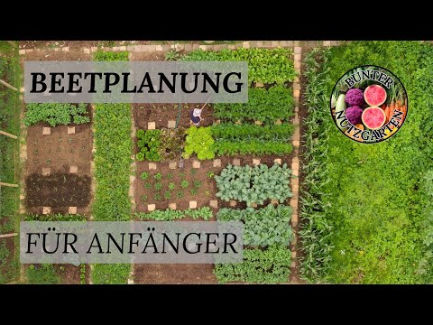 Beetplanung für Anfänger - 5 Schritte zum perfekt geplanten Gemüsebeet
