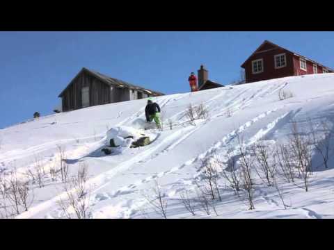 The Fieds   Underneath The Tree