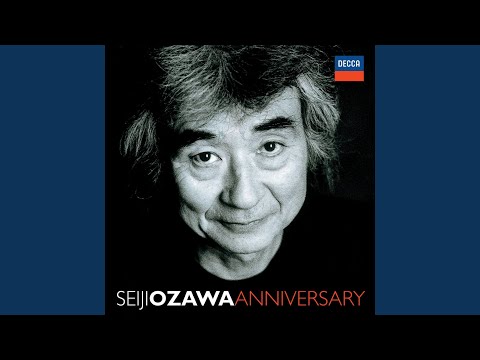 Tchaikovsky: Symphony No. 5 in E Minor, Op. 64: II. Andante cantabile con alcuna licenza