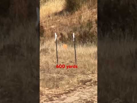 7mm PRC vs. 7mm REM MAG at 600 yards!
