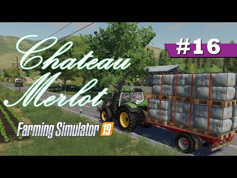 Animal Care, Selling a Big Load of Wool | Farming Simulator 19 Timelapse