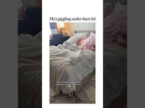 he did so good til the boop 😭 via:-prexity_/tiktok