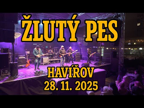 Žlutý pes, koncert, 28.11.2025, Havířov, 4K