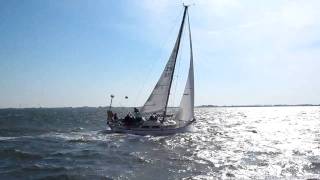 preview picture of video 'Yogi sailing'