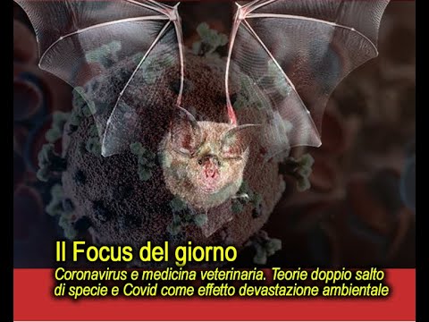 , title : 'Focus:  Covid secondo la medicina veterinaria. Doppio salto di specie ed effetto disastri ambientali'