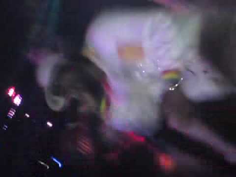 Skibba shotta funsta