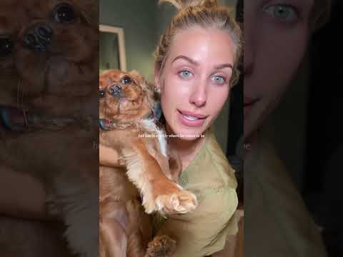 get ready for bed with me as a silly goose 🍸#dailyvlogs #nightinmylife  #nighttimeroutine