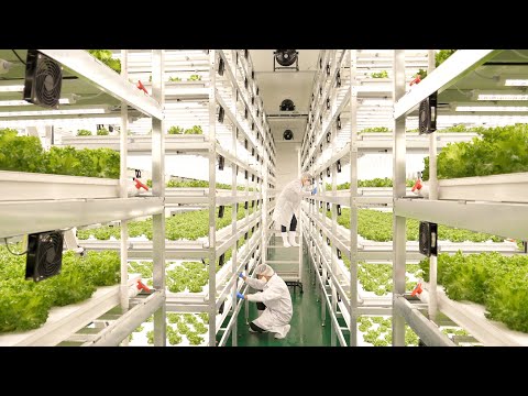, title : 'farming is science. process of growing fresh vegetables by Korean scientists.'